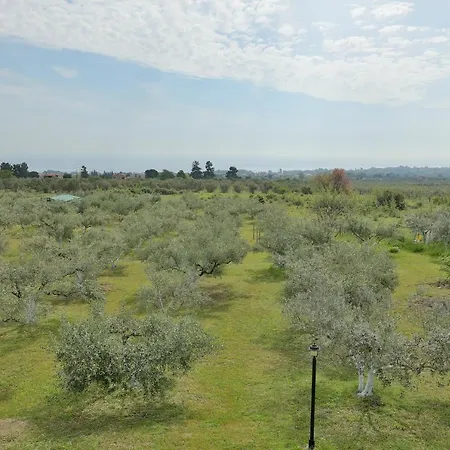 Zeusplace Olympus Riviera 4 Σπίτι διακοπών Λεπτοκαρυά